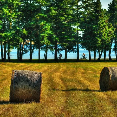 Hotel Rivalmare Boutique