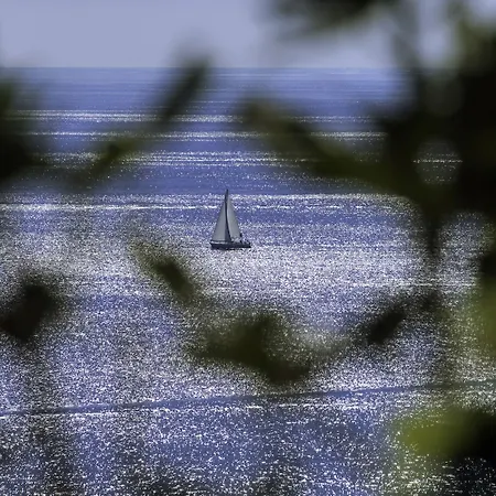 Rivalmare Boutique Novigrad Istria