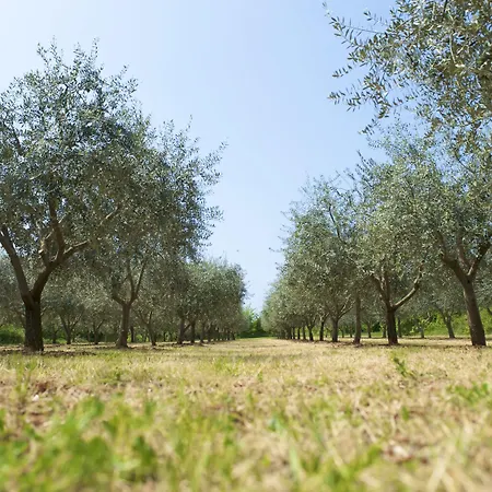 Rivalmare Boutique Hotel 4*